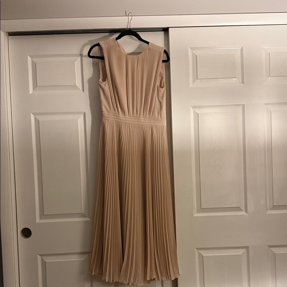 Reiss Blush Midi Dress - Picture 4 of 5